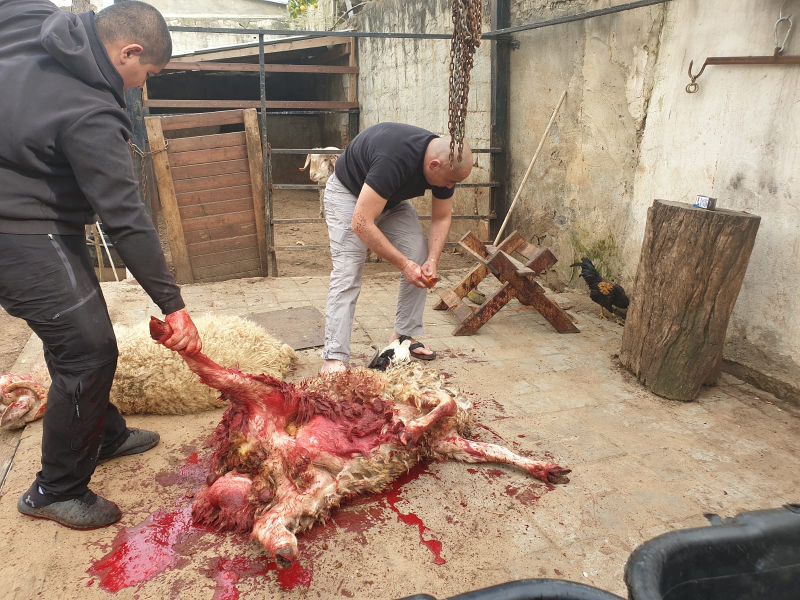 WhatsApp Image 2020-03-06 at 3.47.35 PM.jpeg.jpeg